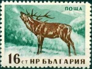Colnect-867-183-Red-Deer-Cervus-elaphus.jpg