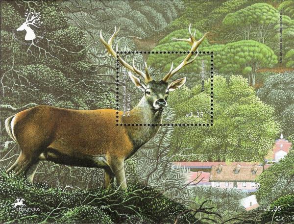 Colnect-1411-679-Red-Deer-Cervus-elaphus.jpg