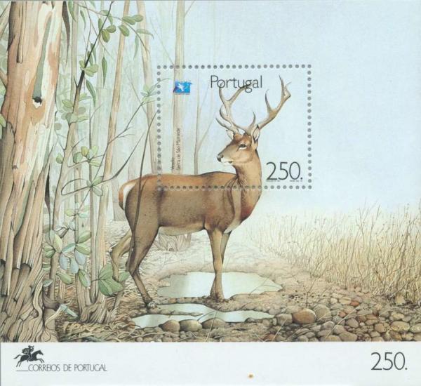 Colnect-178-120-Red-Deer-Cervus-elaphus.jpg
