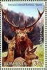 Colnect-1398-562-Red-Deer-Cervus-elaphus.jpg