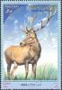 Colnect-1003-275-Red-Deer-Cervus-elaphus.jpg