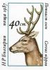 Colnect-4684-637-Red-Deer-Cervus-elaphus.jpg