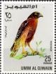 Colnect-3085-102-Red-shouldered-Hawk-Buteo-lineatus.jpg