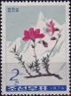 Colnect-3862-715-Rhododendron-redowskianum.jpg