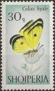 Colnect-452-951-Pale-Clouded-Yellow-Colias-hyale-.jpg