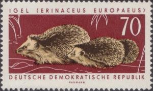 Colnect-1974-298-Northern-Hedgehog-Erinaceus-europaeus.jpg