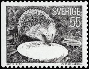 Colnect-4328-307-European-Hedgehog-Erinaceus-europaeus.jpg