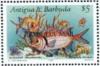 Colnect-2888-177-Blackbar-soldierfish-Myripristis-jacobus.jpg