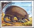 Colnect-2321-532-Giant-armadillo-Priodontes-giganteus.jpg