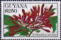 Colnect-4606-239-Ferdinandusa-speciosa.jpg