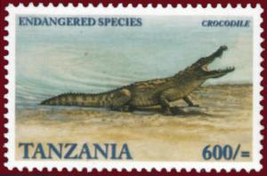 Colnect-1702-828-Nile-Crocodile-Crocodylus-niloticus.jpg