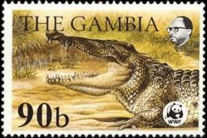 Colnect-1721-691-Nile-Crocodile-Crocodylus-niloticus.jpg