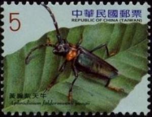Colnect-3551-606-Beetle-Aphrodisium-faldermannii-yuagii-.jpg