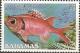 Colnect-1361-254-Blackbar-Soldierfish-Myripristis-jacobus.jpg