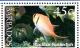 Colnect-1756-343-Blackbar-Soldierfish-Myripristis-jacobus.jpg