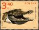 Colnect-3794-163-Nile-Crocodile-Crocodylus-niloticus.jpg