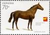 Colnect-575-911-Thoroughbred-Saddle-horse-Equus-ferus-caballus.jpg