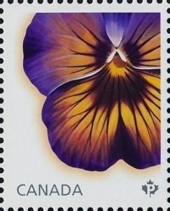 Colnect-3193-529-Midnight-Glow-Pansy.jpg