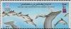 Colnect-1899-555-Atlantic-white-sided-Dolphin-Lagenorhynchus-acutus-Humpba.jpg