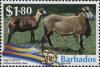 Colnect-4279-955-Barbados-Blackbelly-Sheep.jpg