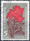 Colnect-781-450-Rhododendron-hirsutum.jpg