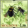 Stamps_of_Moldova%2C_019-09.jpg