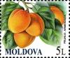 Stamps_of_Moldova%2C_032-09.jpg