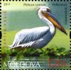 Stamps_of_Moldova%2C_036-11.jpg