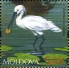 Stamps_of_Moldova%2C_037-11.jpg
