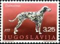 Colnect-4228-233-Dalmatian-Dog-Canis-lupus-familiaris.jpg