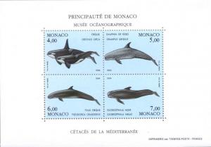 Colnect-149-680-Killer-Whale-Risso--s-Dolphin-False-Killer-Whale-Long-finn.jpg