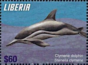 Colnect-7374-171-Clymene-Dolphin-Stenella-clymene.jpg