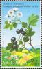 Stamp_of_Moldova_md503.jpg