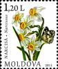 Stamps_of_Moldova%2C_025-11.jpg