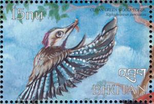 Colnect-3385-962-Cuban-Green-Woodpecker-Xiphidiopicus-percussus.jpg