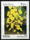 Colnect-1402-350-Dendrobium-aggregatum.jpg