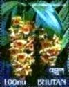 Colnect-3414-376-Dendrobium-densiflorum.jpg