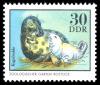 Stamps_of_Germany_%28DDR%29_1975%2C_MiNr_2035.jpg