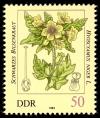 Stamps_of_Germany_%28DDR%29_1982%2C_MiNr_2696.jpg