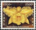 Colnect-2622-355-Dendrobium-harveyanum.jpg