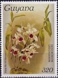 Colnect-3992-740-Dendrobium-leechianum.jpg