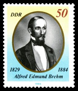 Stamps_of_Germany_%28DDR%29_1989%2C_MiNr_3256.jpg
