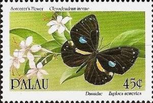 Colnect-1802-443-Glory-Bower-Clerodendrum-inerme-Milkweed-Butterfly-Euplo.jpg