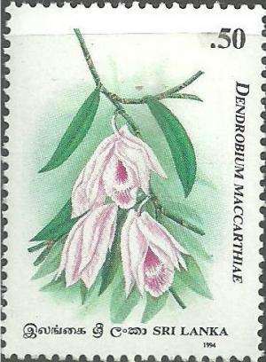 Colnect-2530-609-Dendrobium-Maccarthiae.jpg