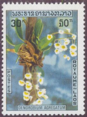 Colnect-342-347-Dendrobium-aggregatum.jpg