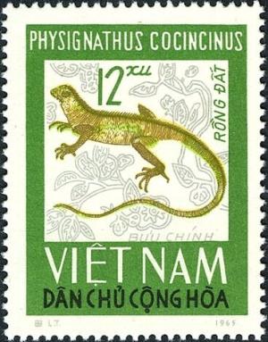 Colnect-5493-622-Chinese-Water-Dragon-Physignathus-cocincinus.jpg