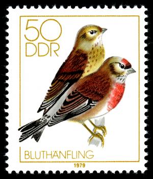 Stamps_of_Germany_%28DDR%29_1979%2C_MiNr_2393.jpg