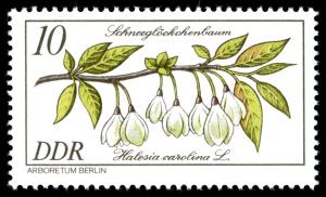 Stamps_of_Germany_%28DDR%29_1981%2C_MiNr_2574.jpg