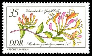 Stamps_of_Germany_%28DDR%29_1981%2C_MiNr_2577.jpg