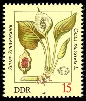 Stamps_of_Germany_%28DDR%29_1982%2C_MiNr_2692.jpg